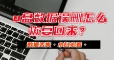 解决U盘文件不显示问题的方法（如何恢复U盘文件的可见性）