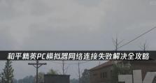 电脑安装发生网络错误的解决办法（解决网络错误，轻松畅游互联网）