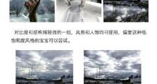 VSCO滤镜电脑使用教程（打造高质量的照片编辑作品）