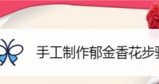 电脑合成花卉制作教程（利用电脑技术打造绚丽花卉作品）