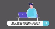 电脑IP设置错误问题解决方案（重新设置IP地址，轻松解决电脑网络问题）