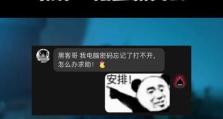 解决电脑密码错误问题的有效方法（应对忘记密码、账户被盗等情况的关键步骤）