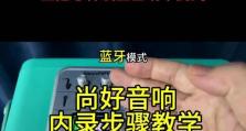 电脑YY开播教程（一步步教你如何使用电脑YY开播，轻松打造自己的直播间）