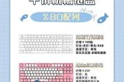 如何选择适合分体键盘的电脑配置（优化办公效率从键盘开始）
