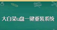 大白菜分区大小教程（以大白菜分区大小为核心的种植技巧，助力农民增产致富）