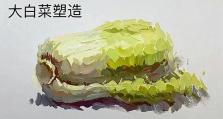 笔记本大白菜怎么分区教程（学会笔记本大白菜分区的必备技巧）
