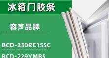 容声BCD228——品质卓越的多门冰箱（高效节能，智能科技打造的完美家居选择）