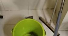 探究以58到家清洁的服务质量（便捷高效的清洁服务，58到家清洁给你一个干净舒适的家环境）